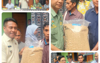 52 Kelompok Tani Terima Bantuan Benih Padi, Bupati Rote Ndao Tekankan Peningkatan Produksi